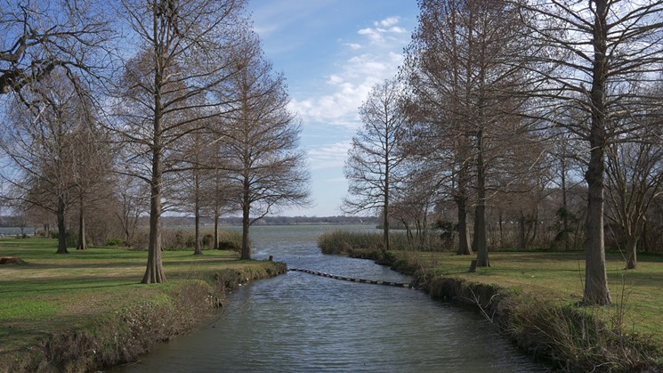 Find great beauty at White Rock Lake.