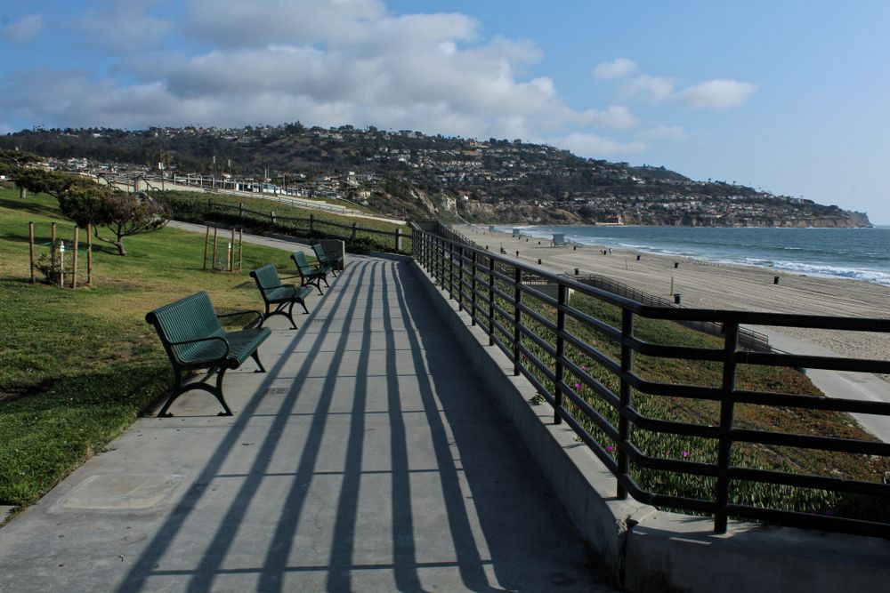 Benches overlooking at Miramar Park